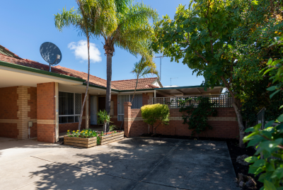The front driveway of an orange brick house with a satellite dish on top and palm tree in front of it