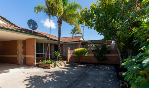 The front driveway of an orange brick house with a satellite dish on top and palm tree in front of it