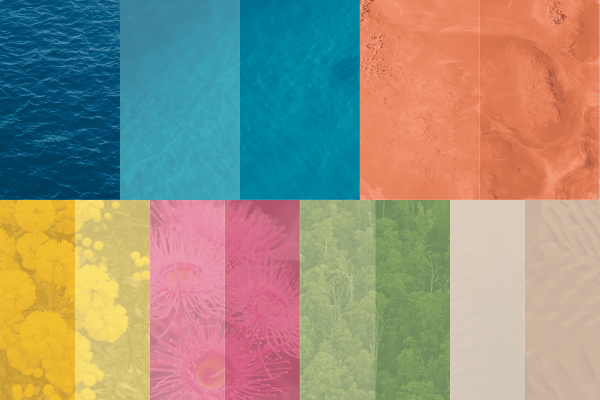 Various images of nature like the sea and forests with coloured filters that include different shades of blue, green, orange, pink, white and yellow