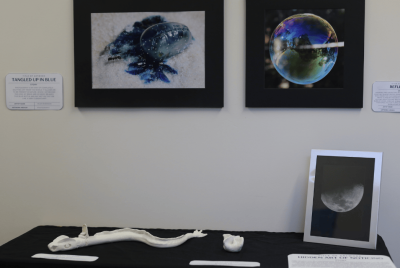 A display that includes fish bones, a picture of the moon, an image of a bubble and photo of ant near a balloon