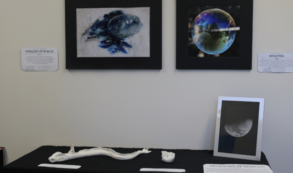 A display that includes fish bones, a picture of the moon, an image of a bubble and photo of ant near a balloon