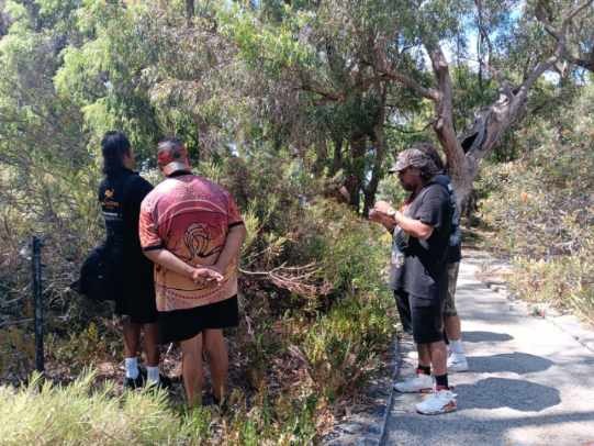 A group of people standing in front of a bush during the In Culture Tours