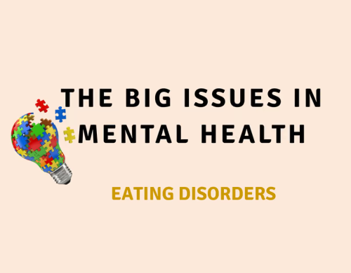 Banner for Big Issues in Mental Heath: Eating Disorders